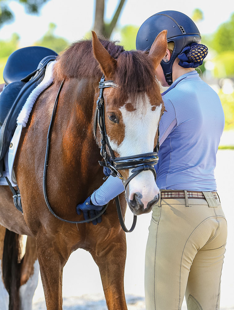 dt02dressagereinbackexercises