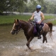 062708horse6mc_t607