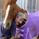 horse3_mp_web_t607