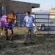 horse4_mp_web_t607