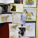 horse5_mp_web_t607