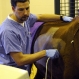 horse7_mp_web_t607