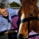 horse8_mp_web_t607