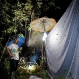foja-mountains-new-species-discovered-fieldwork_20351_600x450