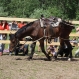 img_8992-medium