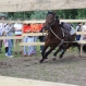 img_9004-medium