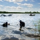 md_10950