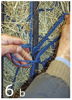 Picture 23