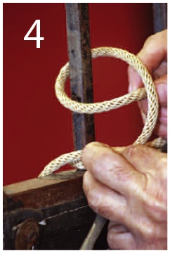 Picture 29