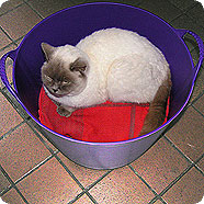 tubtrugs_uses_1