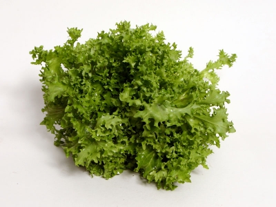 Seasonharvest Frisee Lettuce