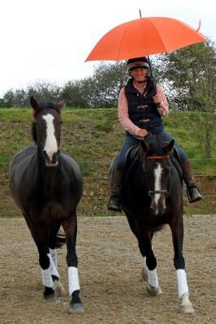 88403.199960.file.eng.Emma-does-umbrella-training-.266.400