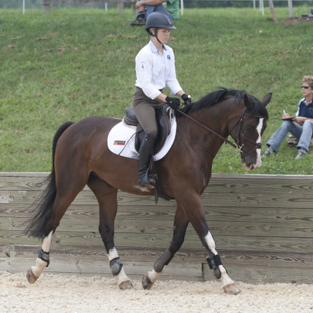 Caitlin Silliman on Callisto at George Morris clinic_1200